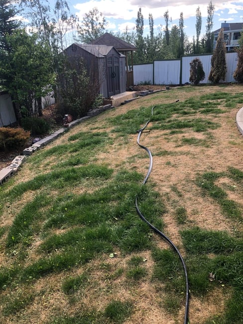 Case Study #2 Before