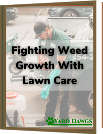 Combatting Weeds With A Package eBook (1)
