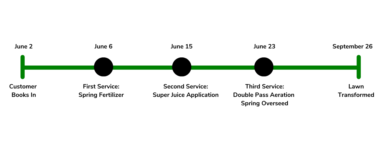 Timeline Coral