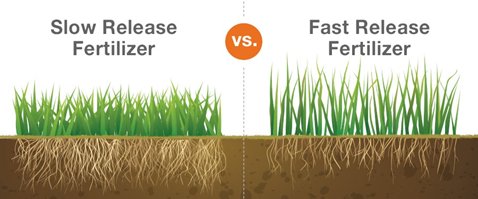 Slow Release and Fast Release Fertilizer