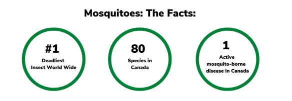 Mosquito Stats
