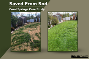 Saved From Sod Case Study