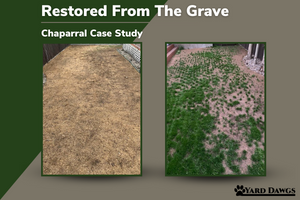 chaparral case study restored from the grave