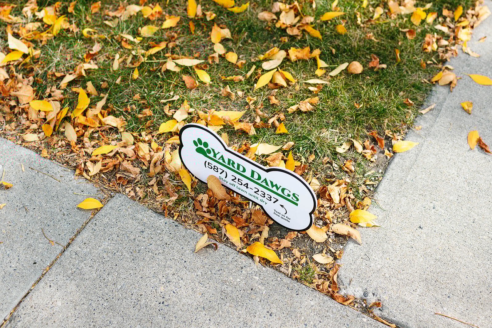 DIY vs. Professional Weed Removal: What’s Better?