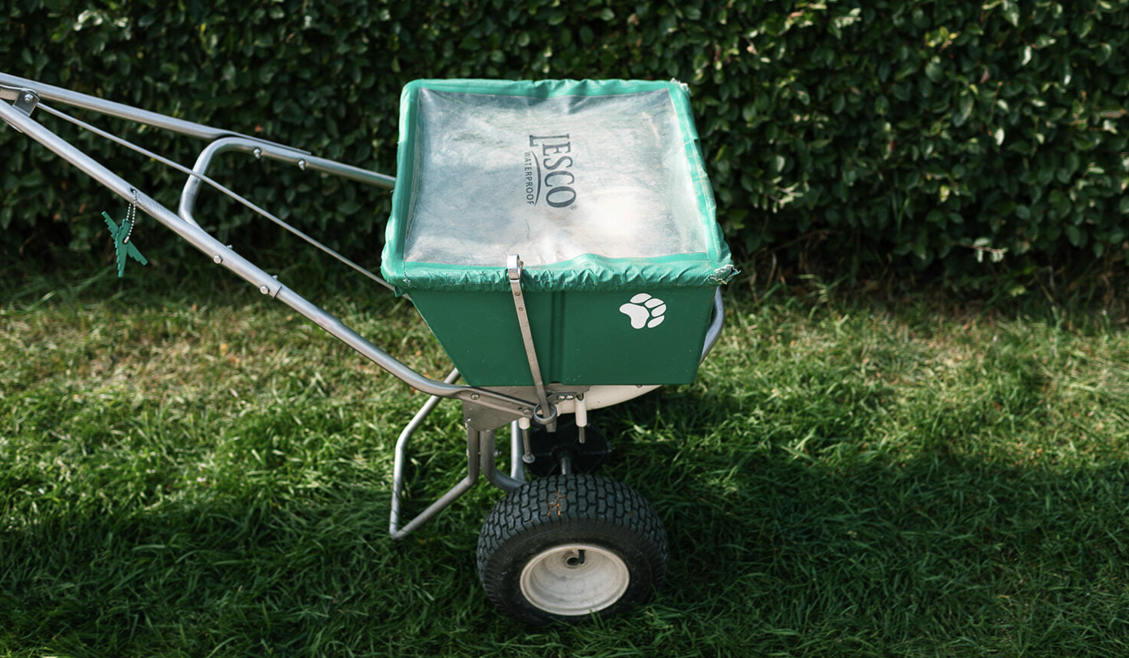 How to Get Rid of Moles Without Damaging Your Lawn