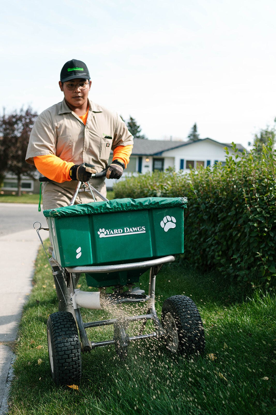When to Fertilize Your Lawn in Calgary