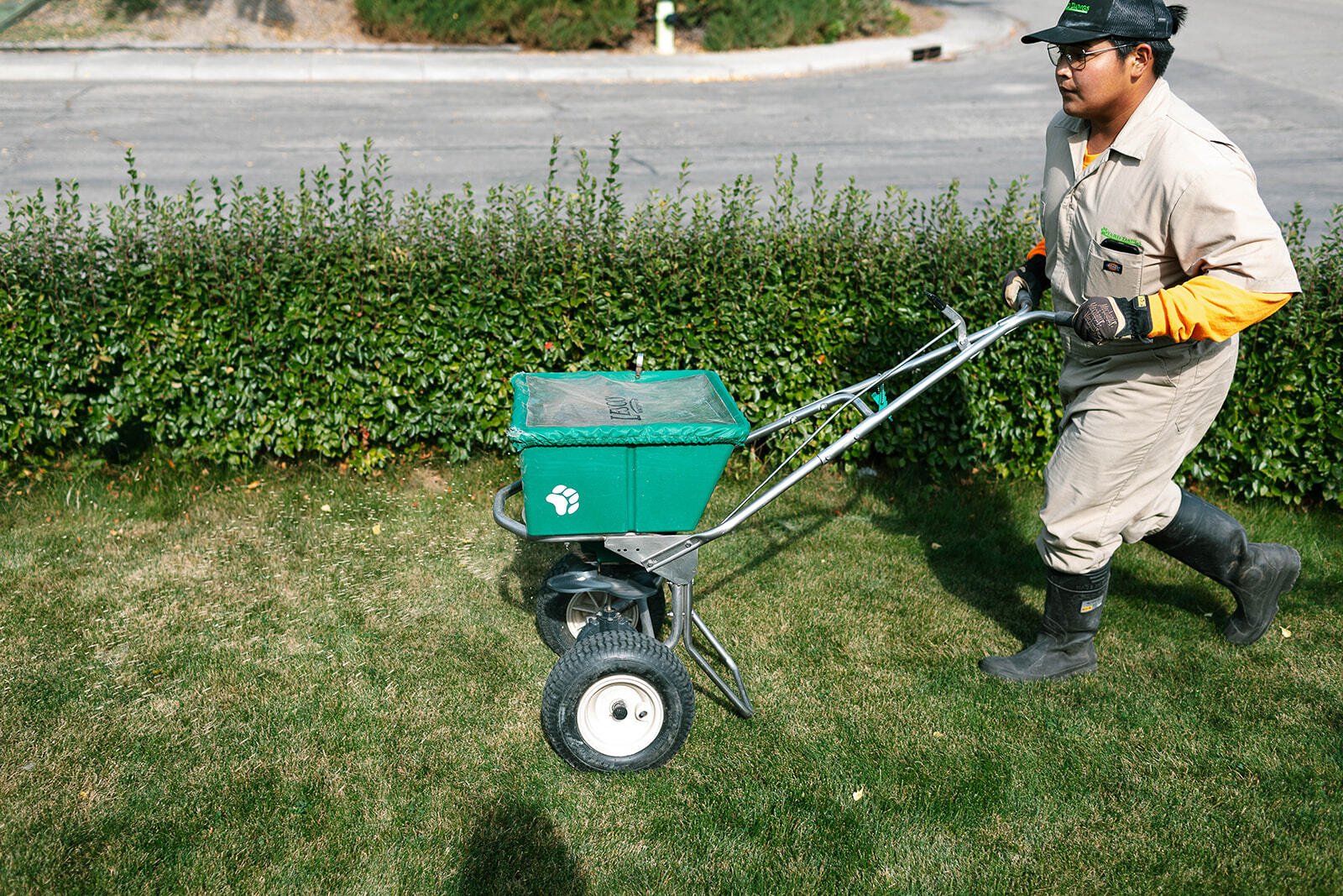 Lawn Fertilization in Edmonton: Spring Application Tips
