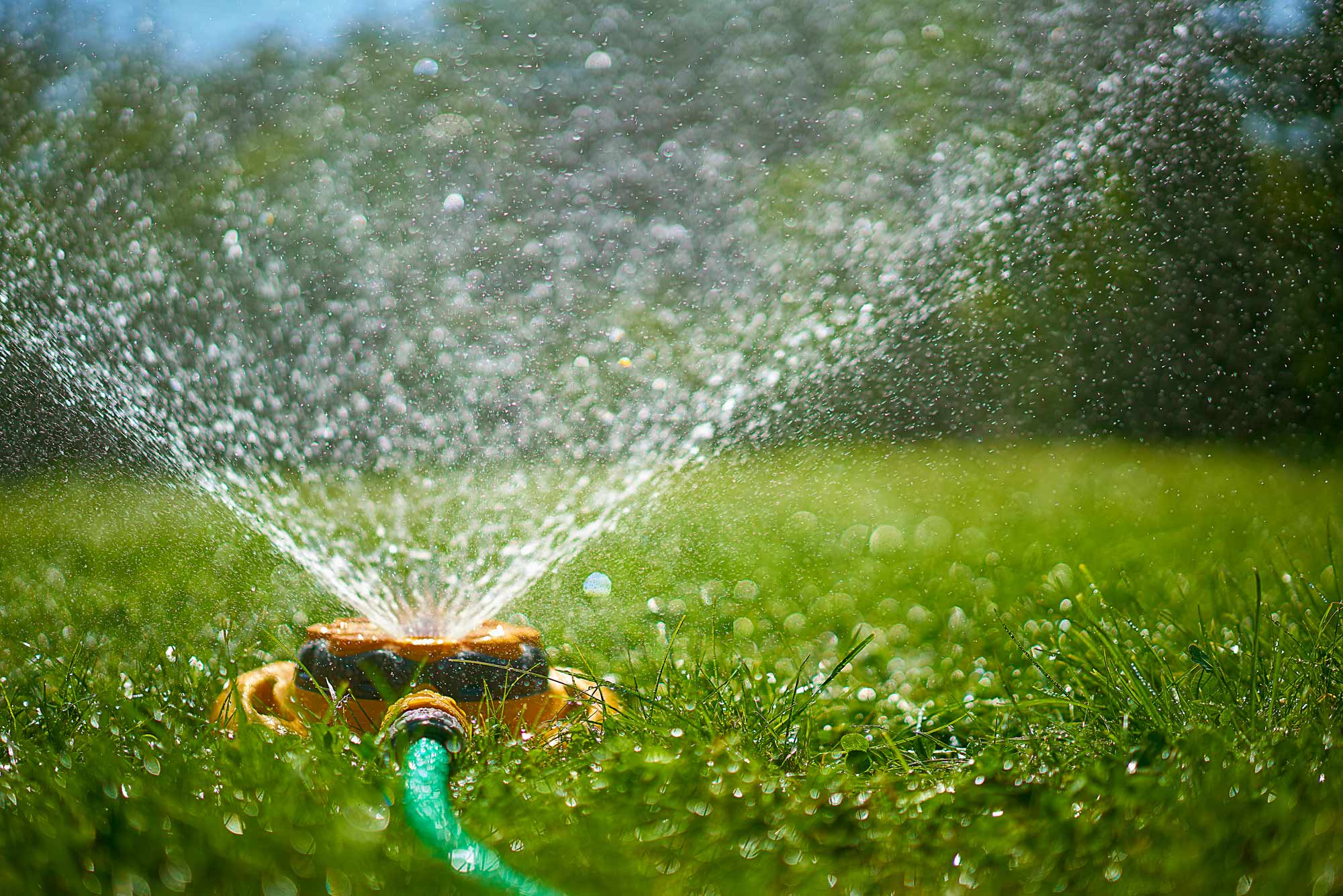 How Long To Water Grass With Hose
