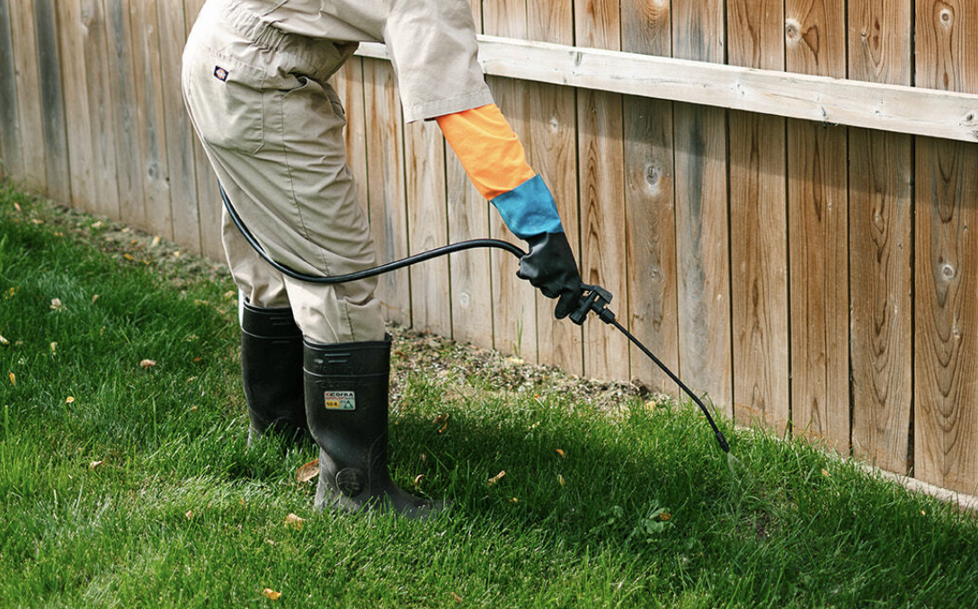 Spring Lawn Care: Steps for a Healthy Growing Season