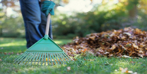 Spring Yard Clean Up in Calgary: Essential Steps Guide