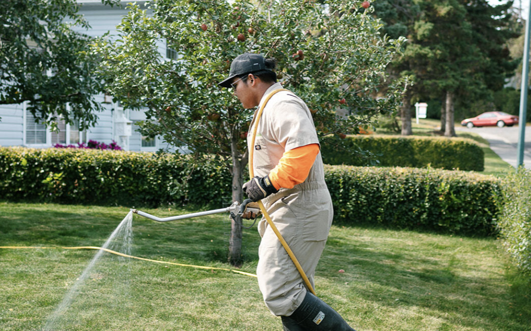 Top Lawn Care Tips for a Healthy, Green Yard