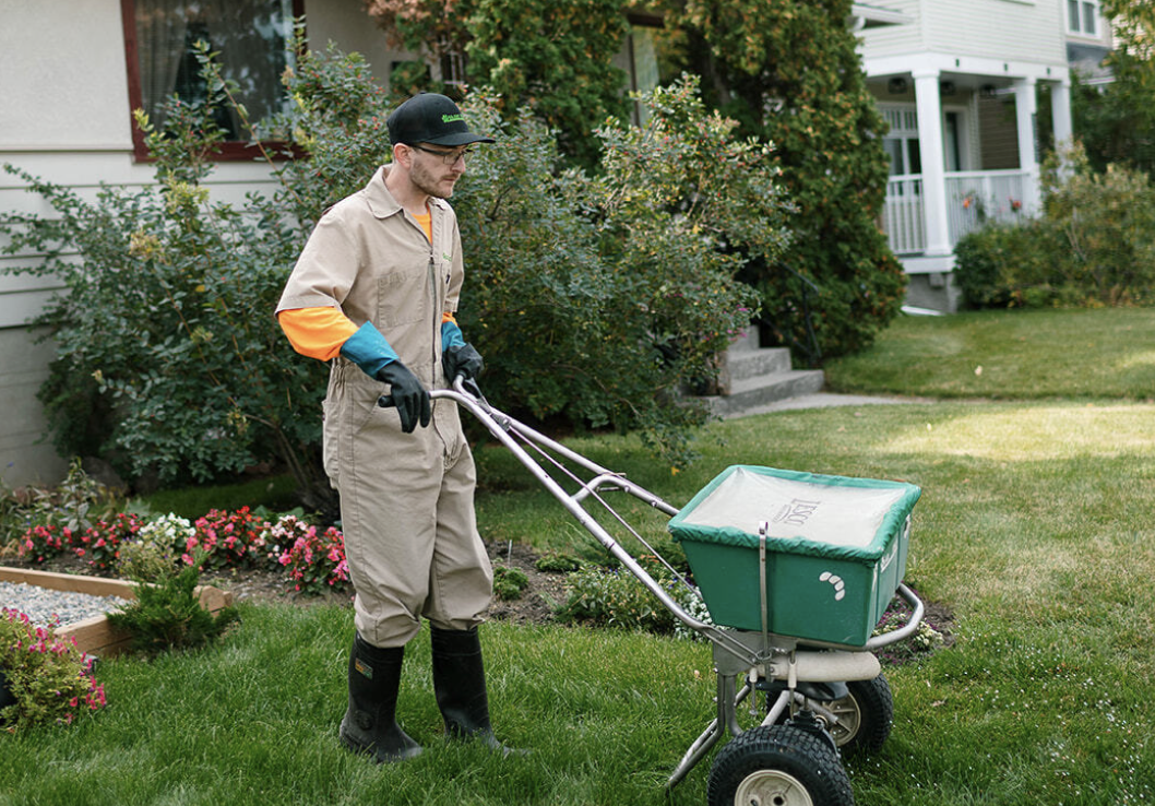 how to top dress and overseed lawn Core Aeration, Over Seeding & Top Dressing in Stafford, Fredericksburg, & Spotsylvania Virginia