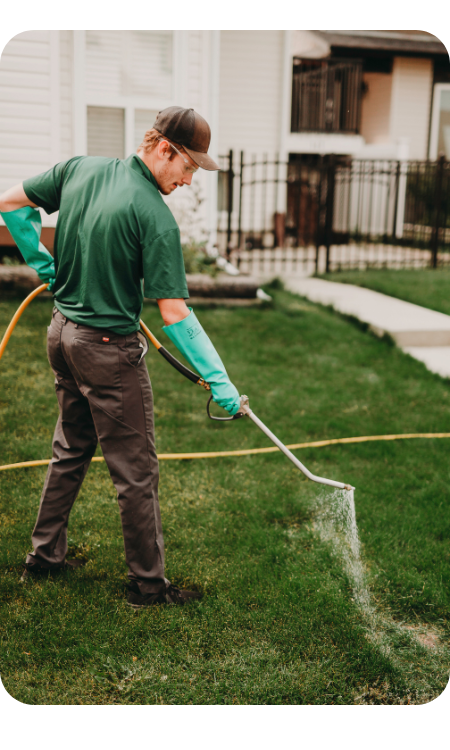 Yard Dawgs liquid aeration service