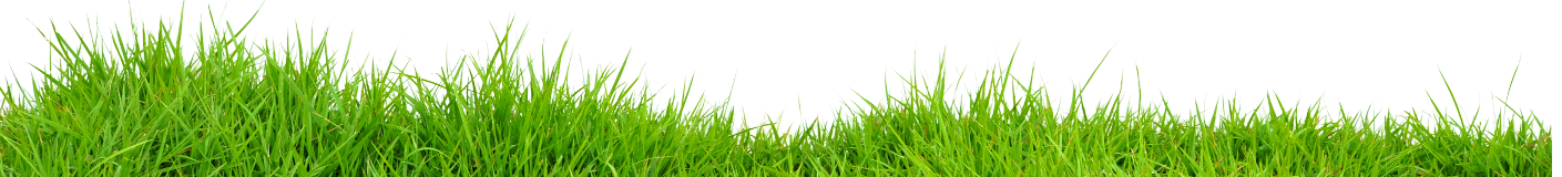 grass border on Yard Dawgs lawn care Calgary home page