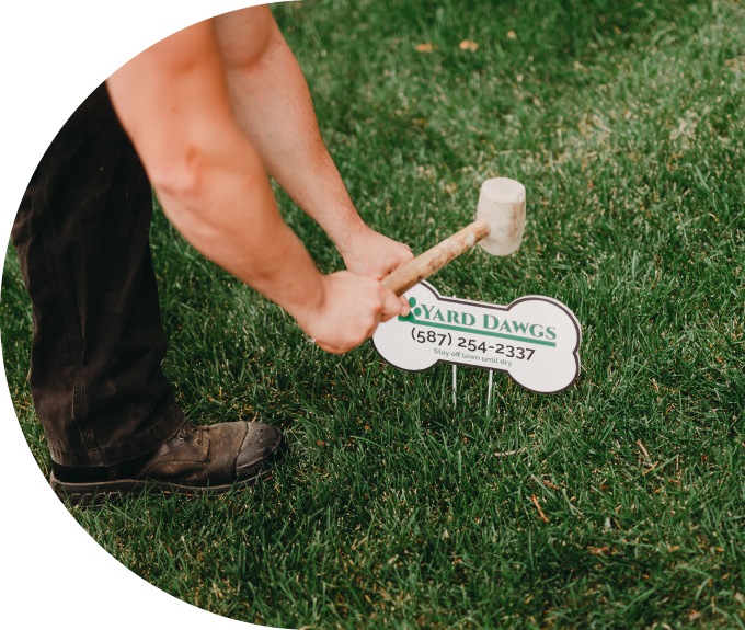 Yard Dawgs lawn care technician hammers lawn sign into green grass