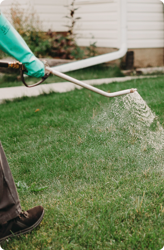 Calgary Weed Control Spraying