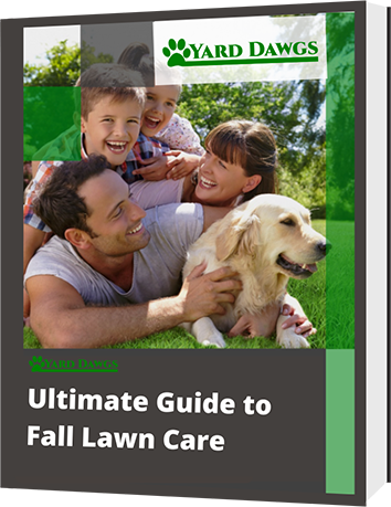 Fall Lawn