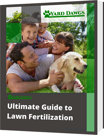 Ultimate Guide to Lawn Fertilization