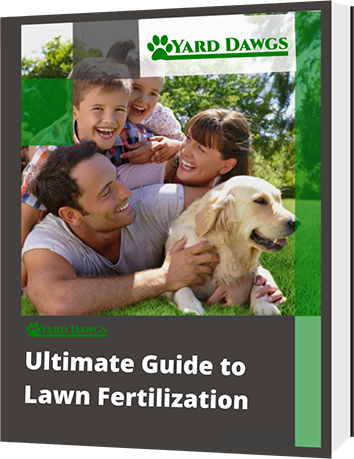 Lawn Fertilizer