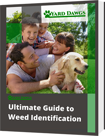 Weed ID