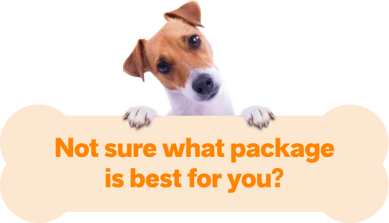 Confused Dog Not Sure What Package To Pick