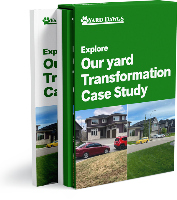 Yard Transformation Case Study Booklet