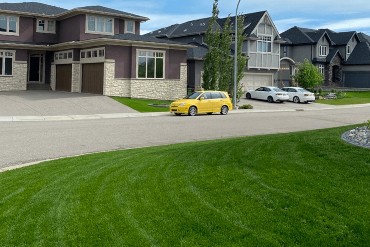 Yard After Fertilizer Treatment