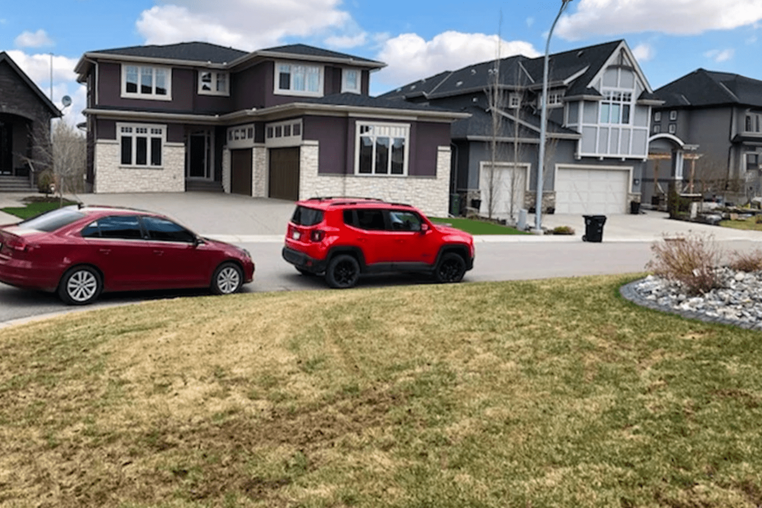 Yard Before Fertilizer Treatment